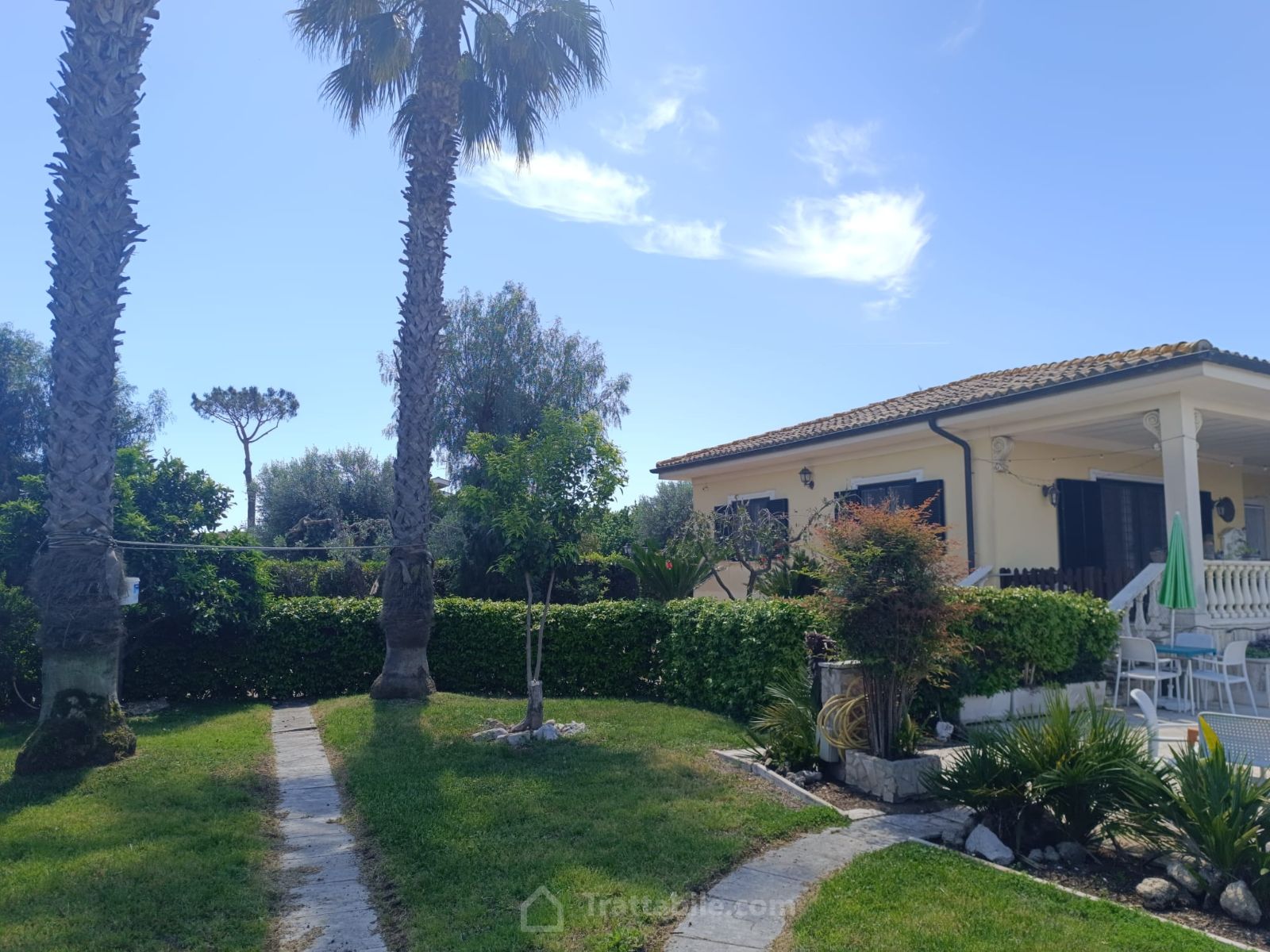 Anteprima 4