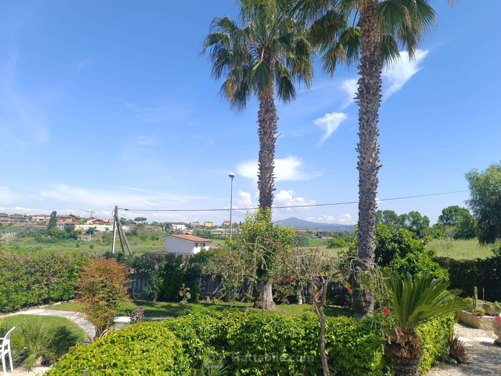 Anteprima 5