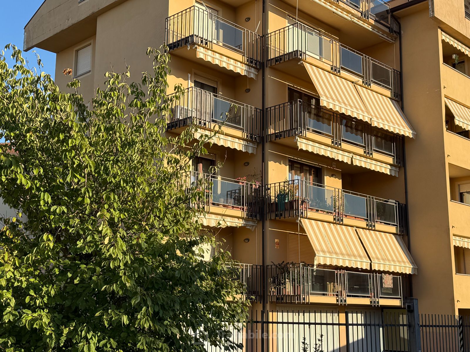 Anteprima 2