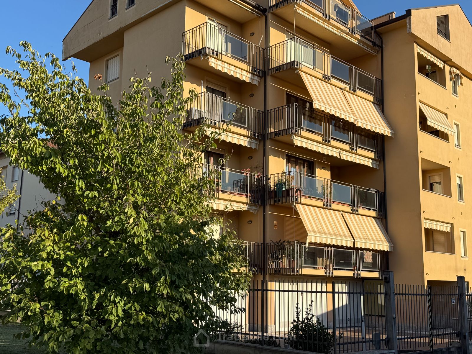 Anteprima 3