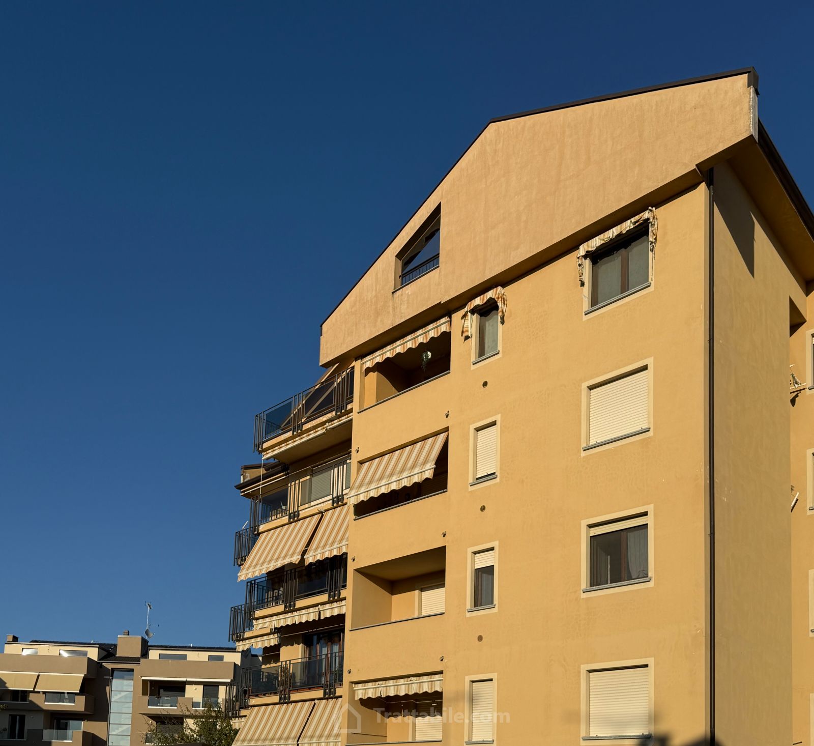 Anteprima 4