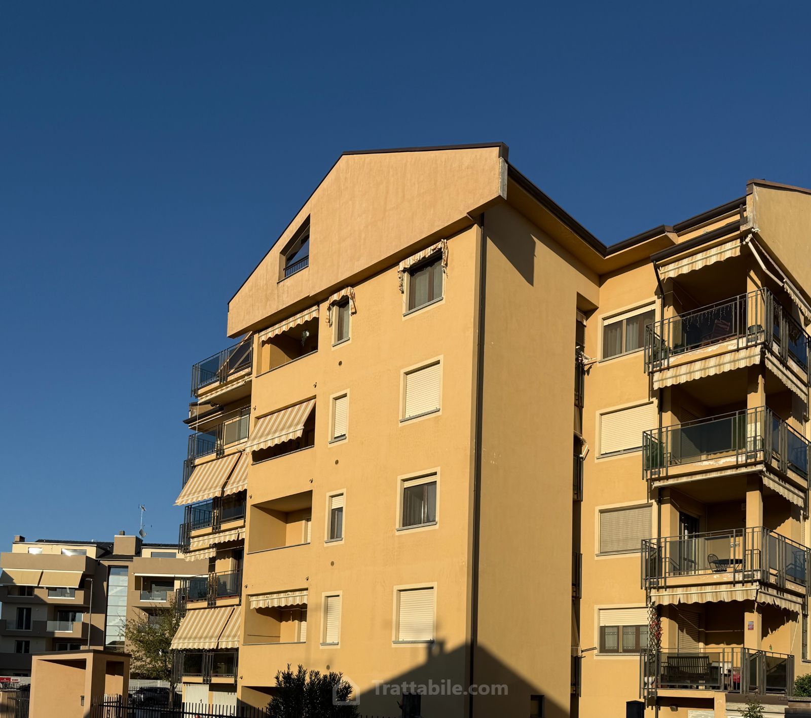 Anteprima 5