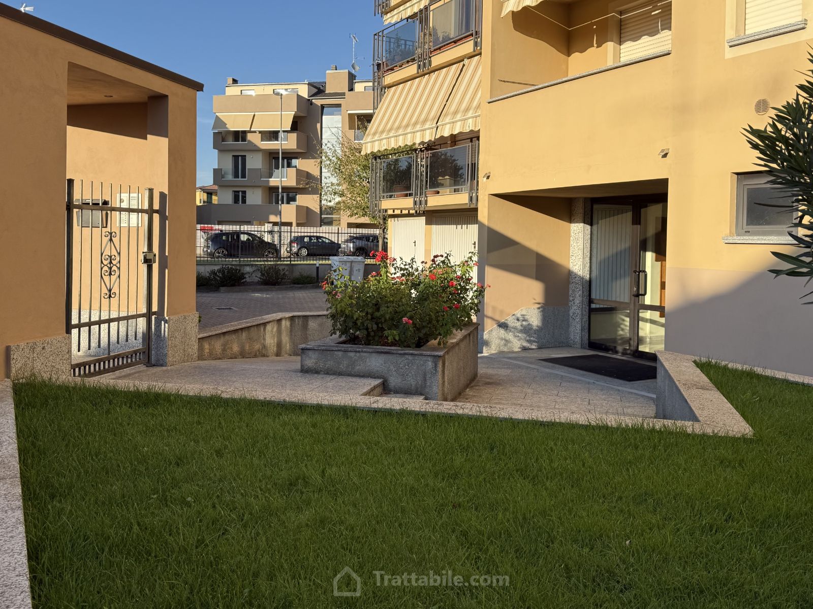 Anteprima 6