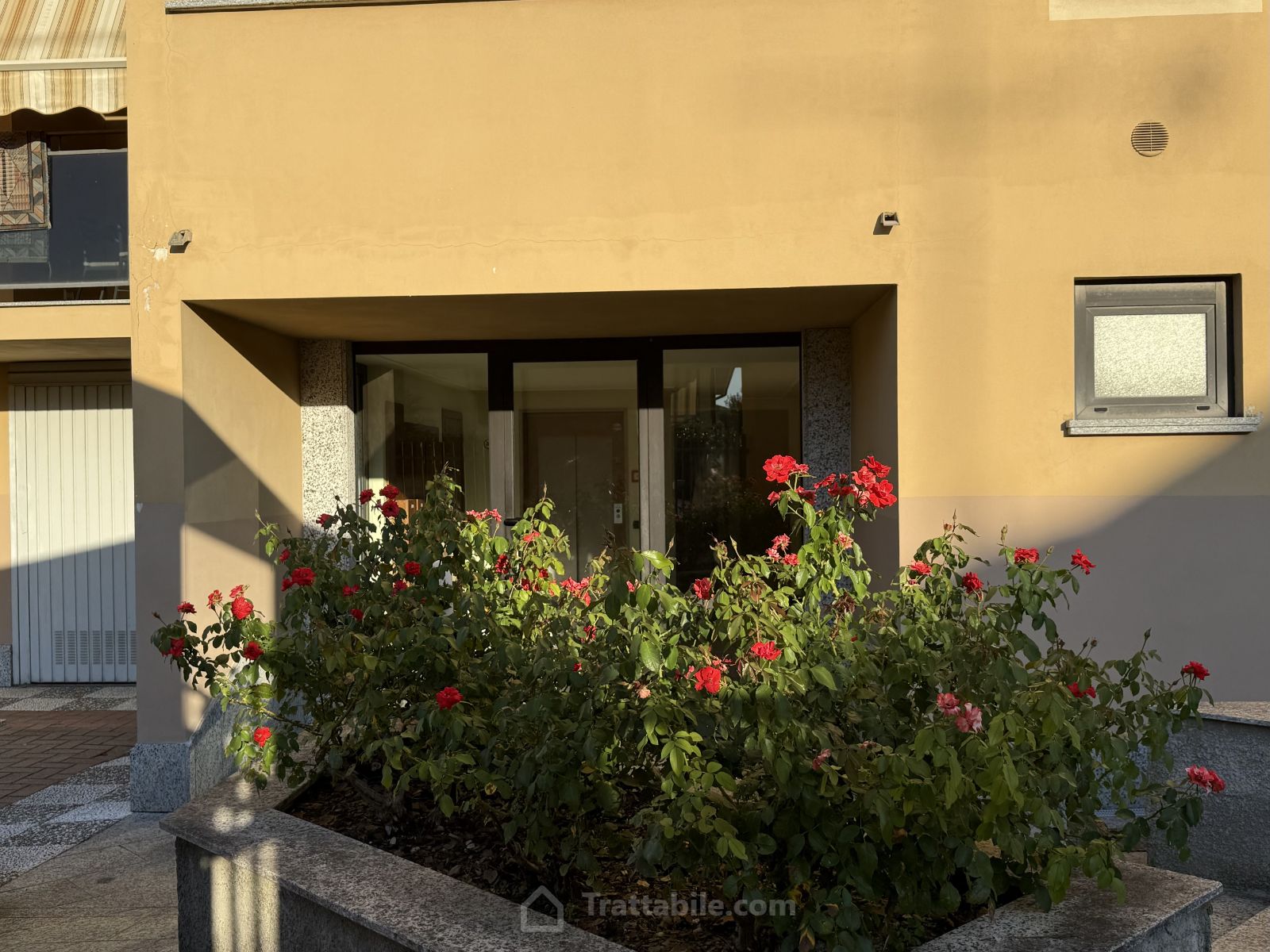 Anteprima 8