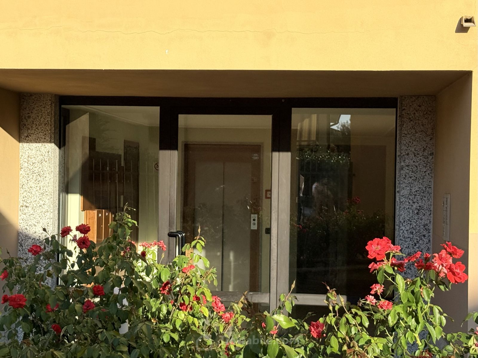 Anteprima 9