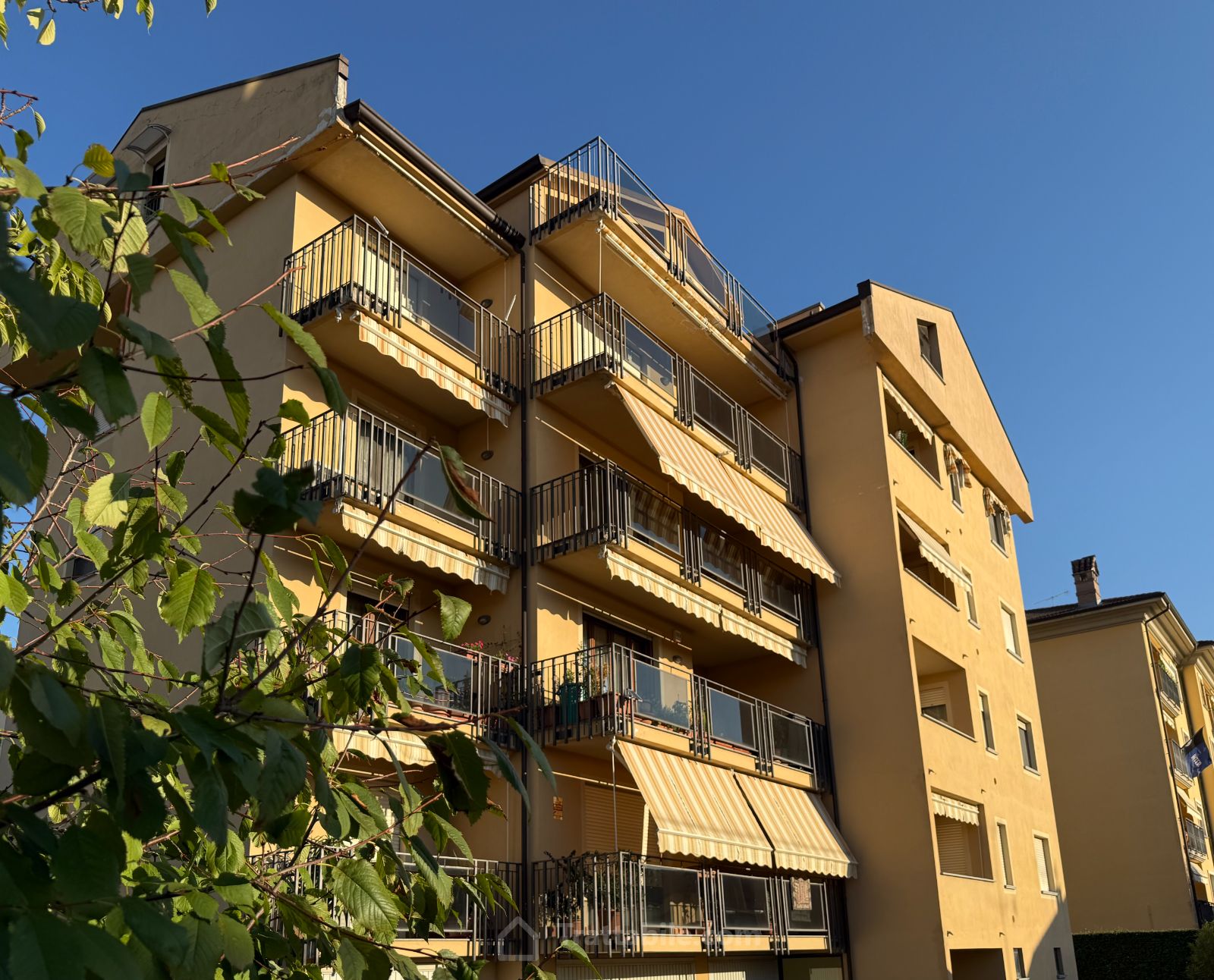 Anteprima 10