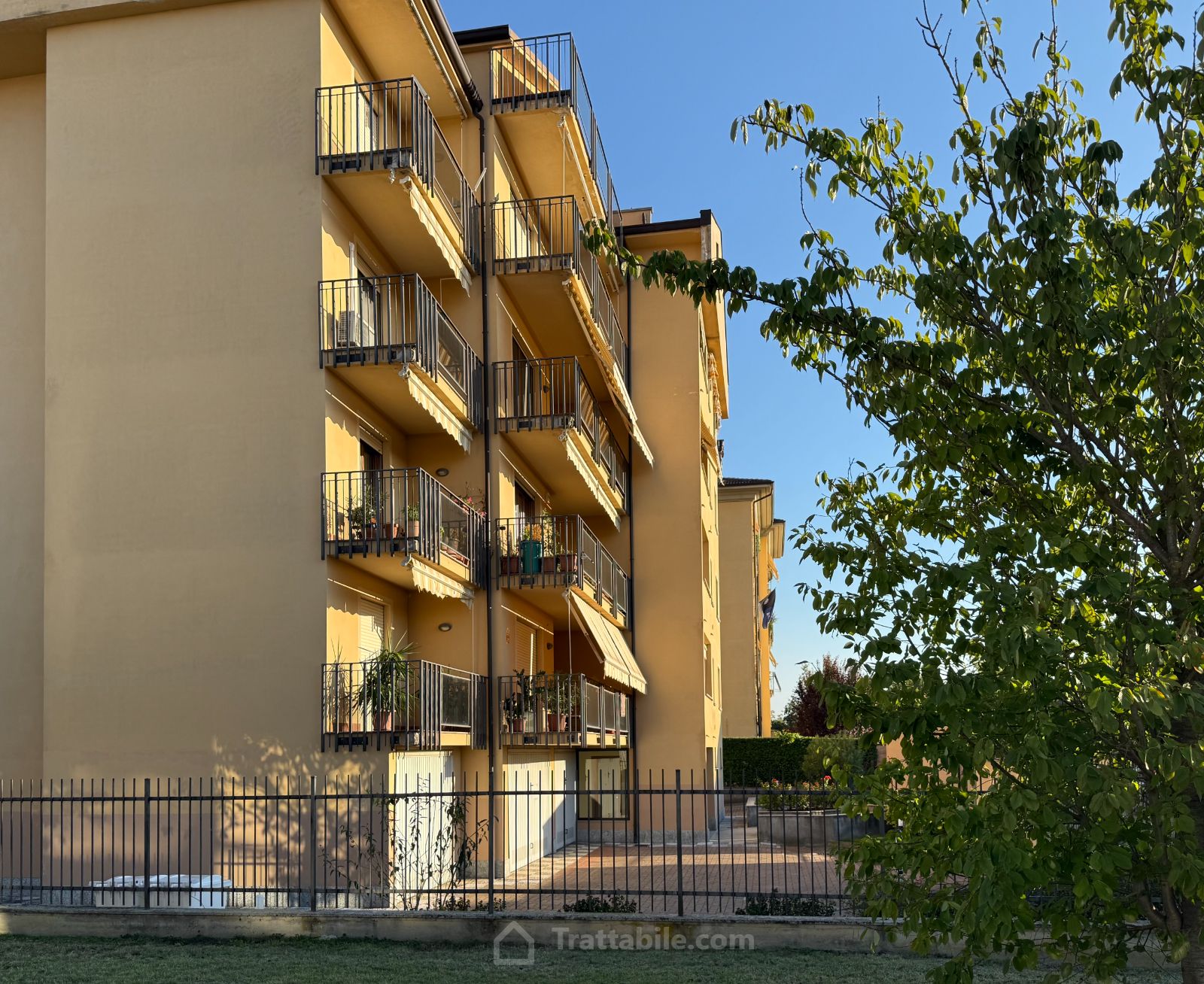 Anteprima 11