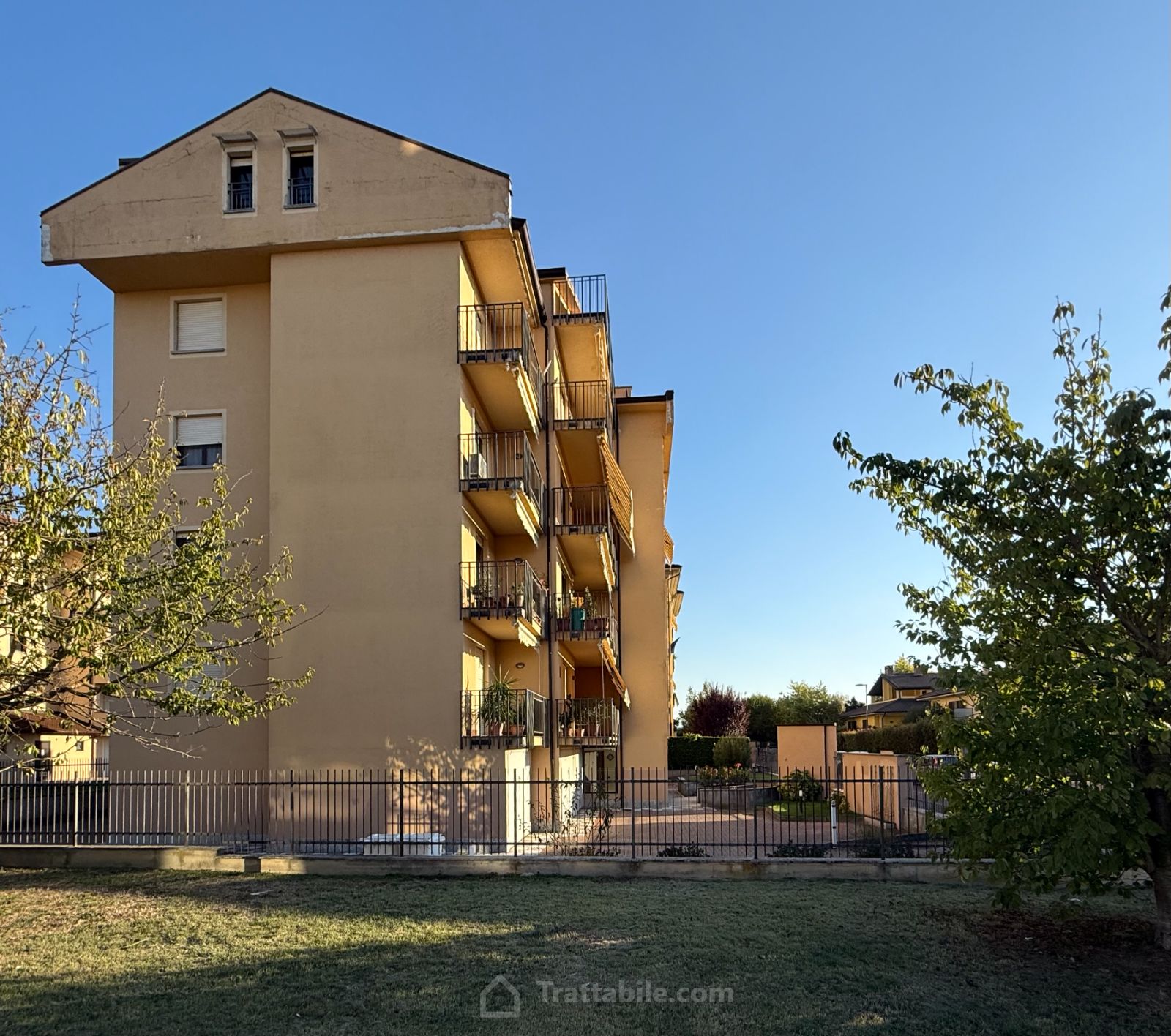 Anteprima 12