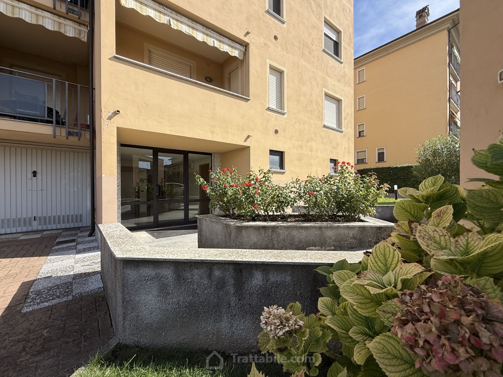 Anteprima 16