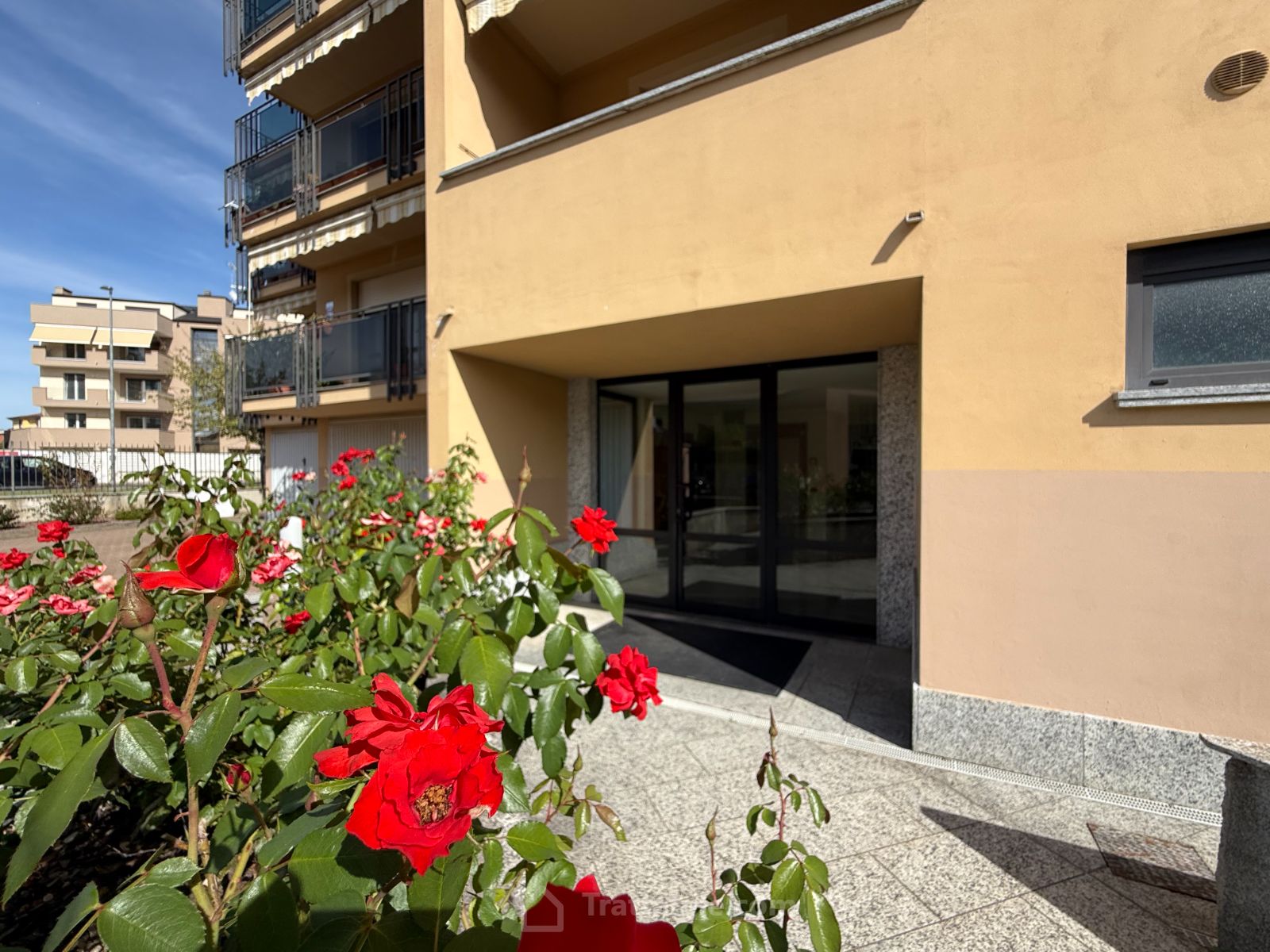 Anteprima 18