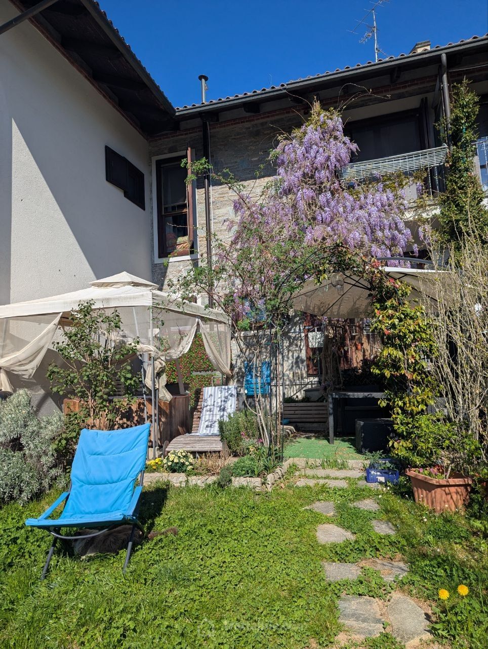 Anteprima 5