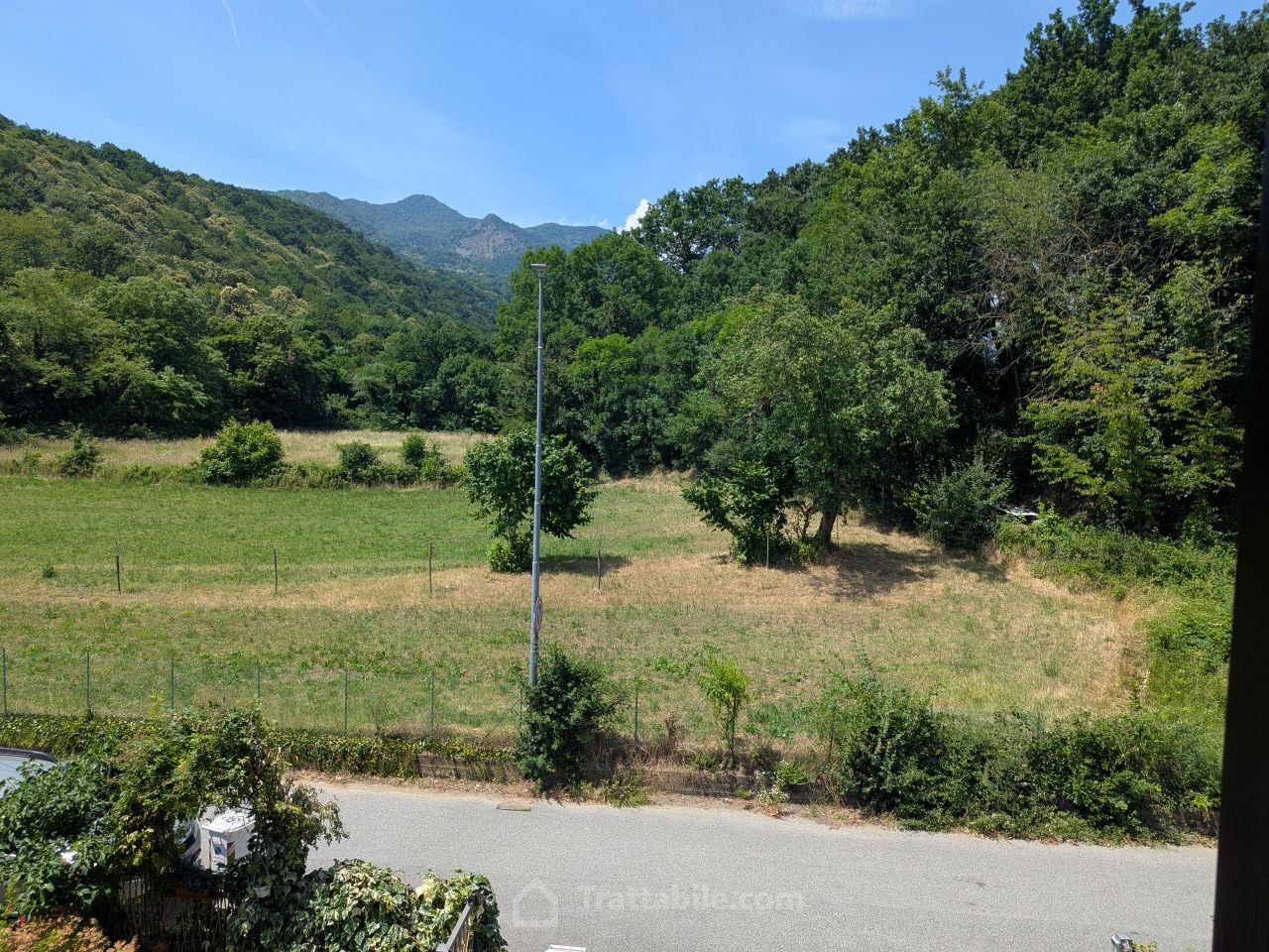 Anteprima 15