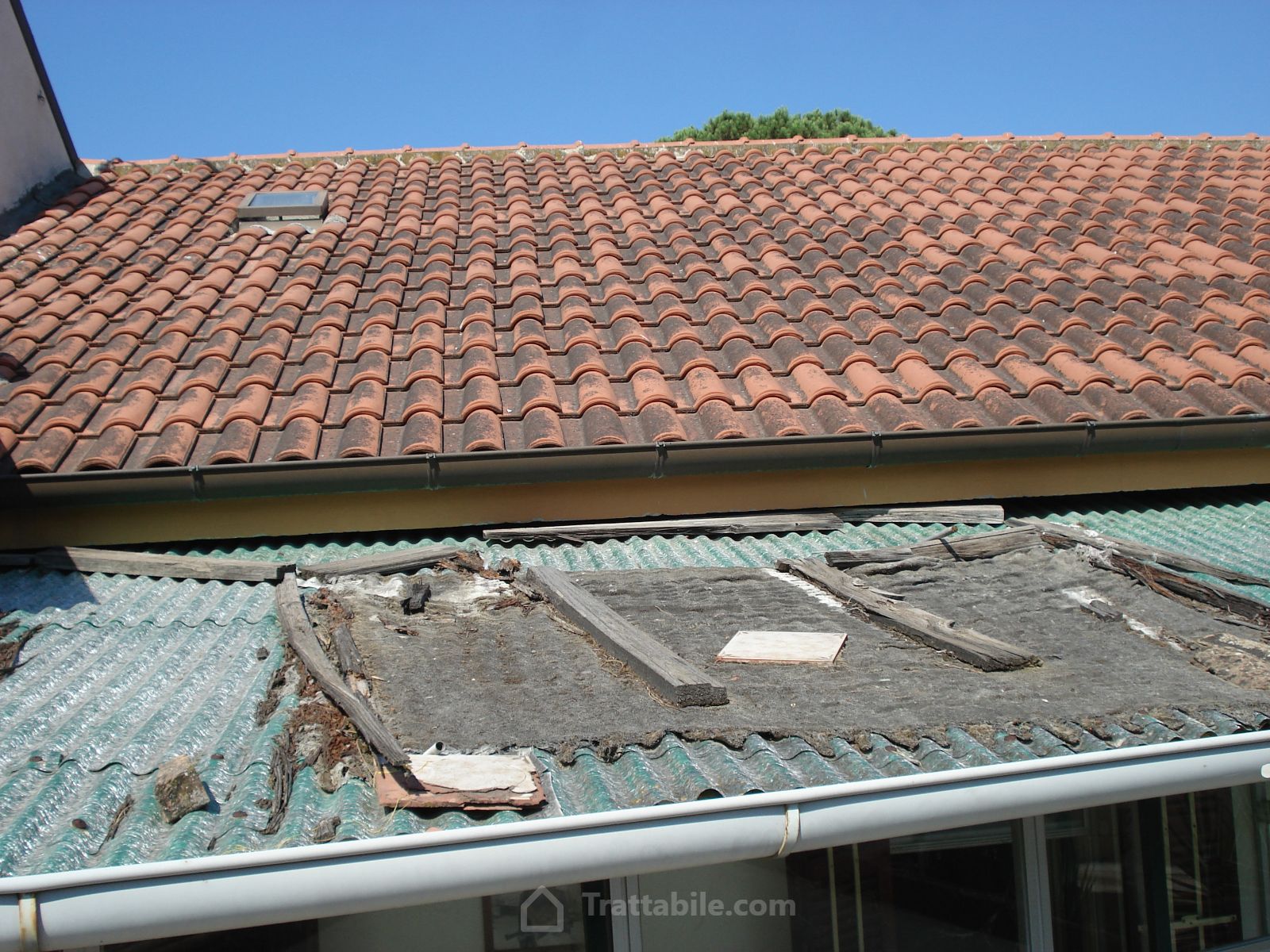 Anteprima 2