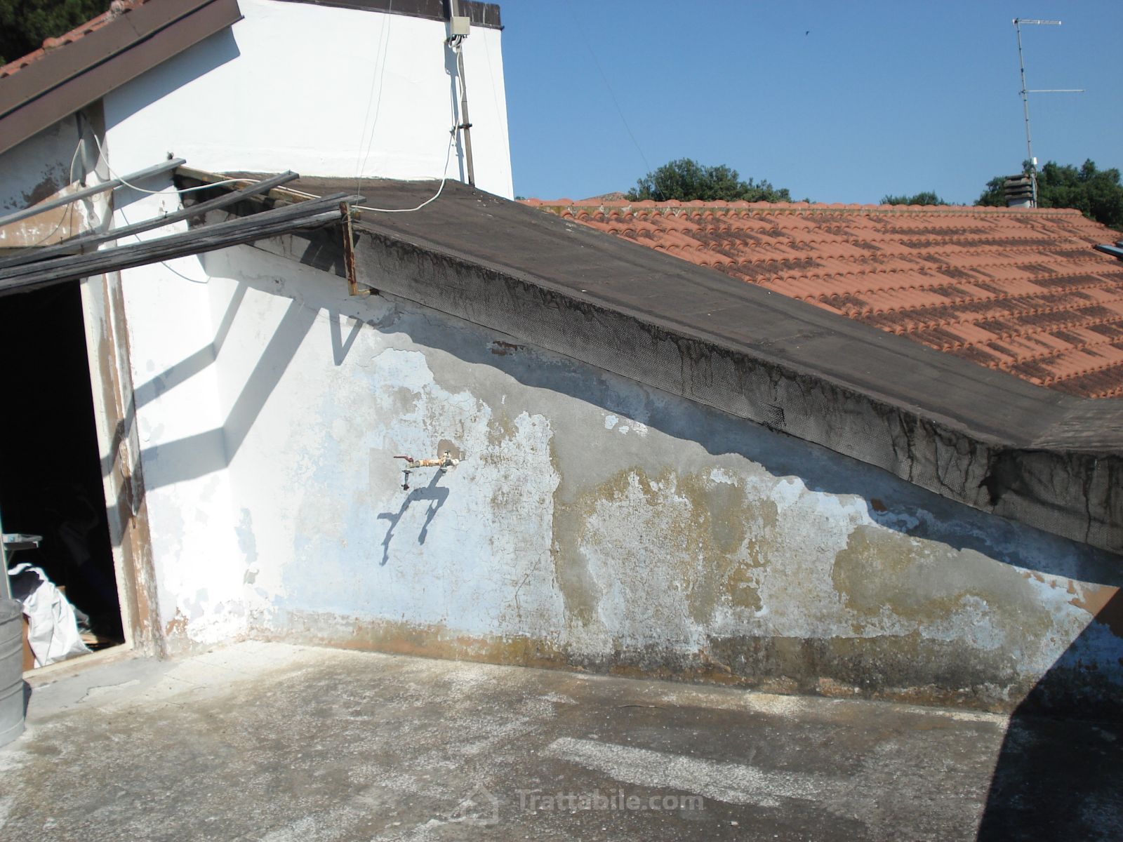 Anteprima 5