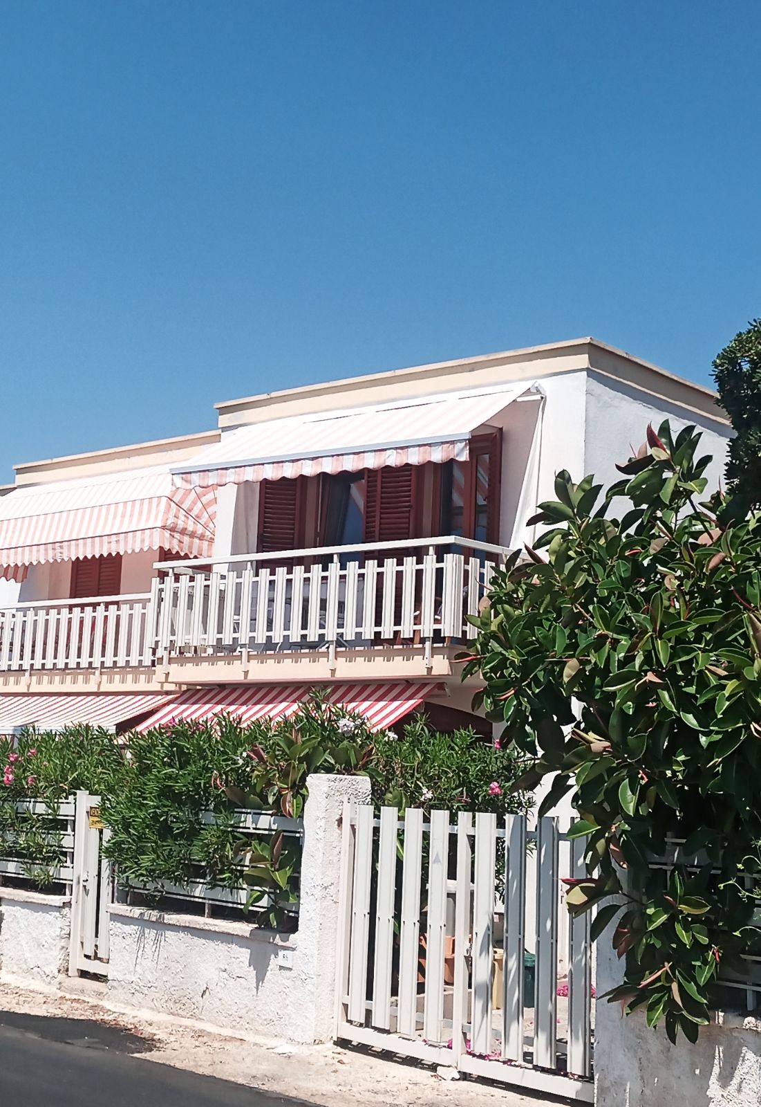 Anteprima 5