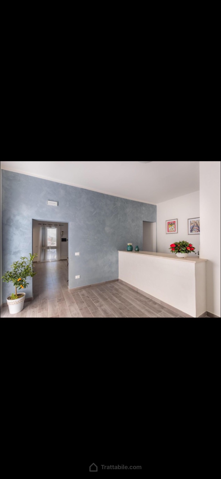 Anteprima 4