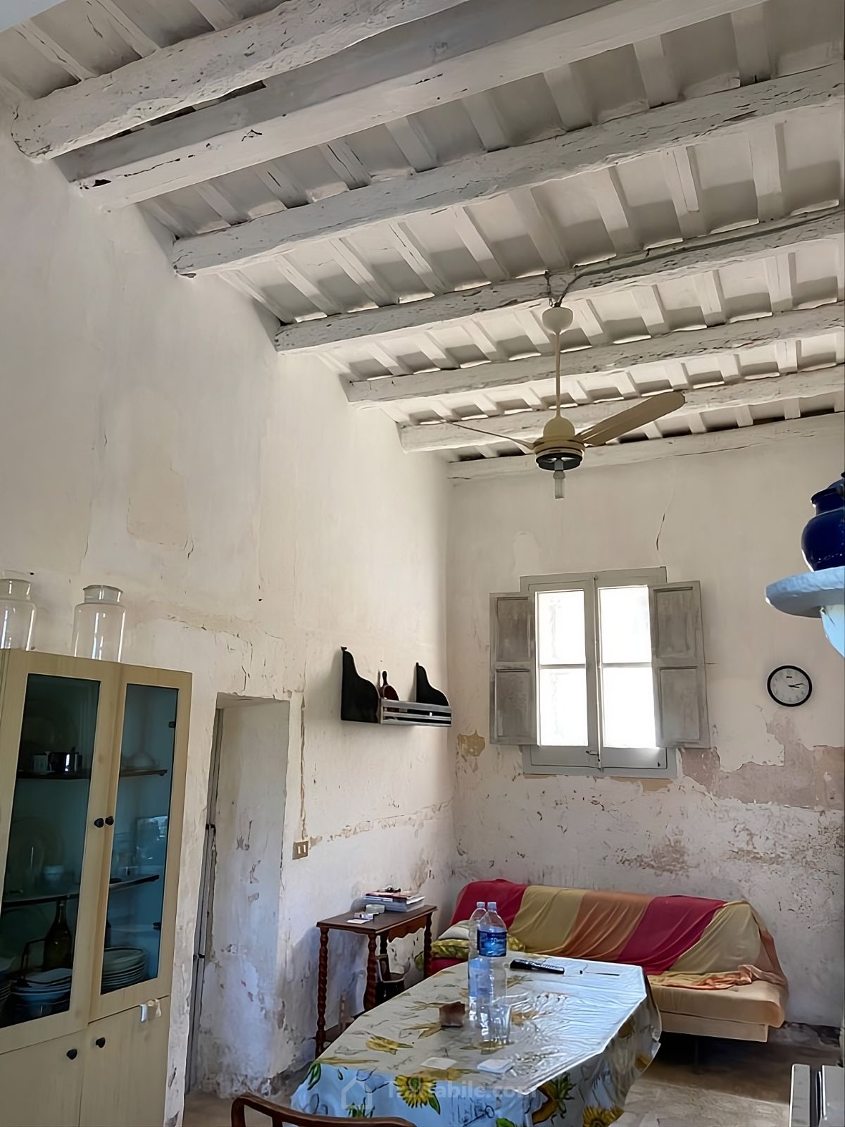 Anteprima 14