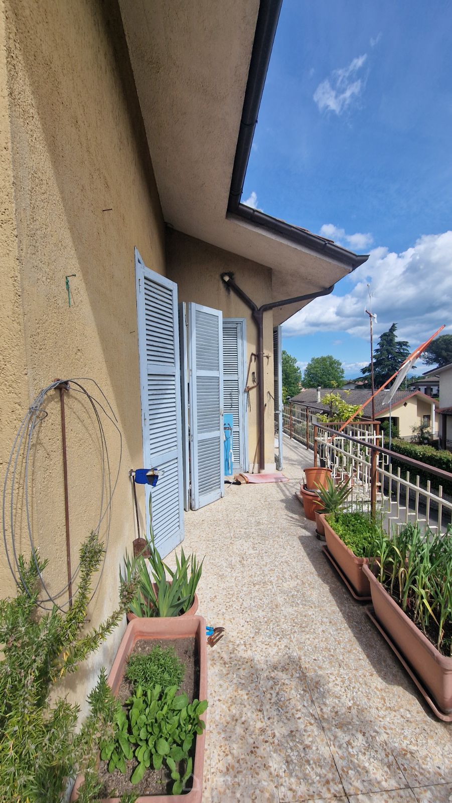 Anteprima 20