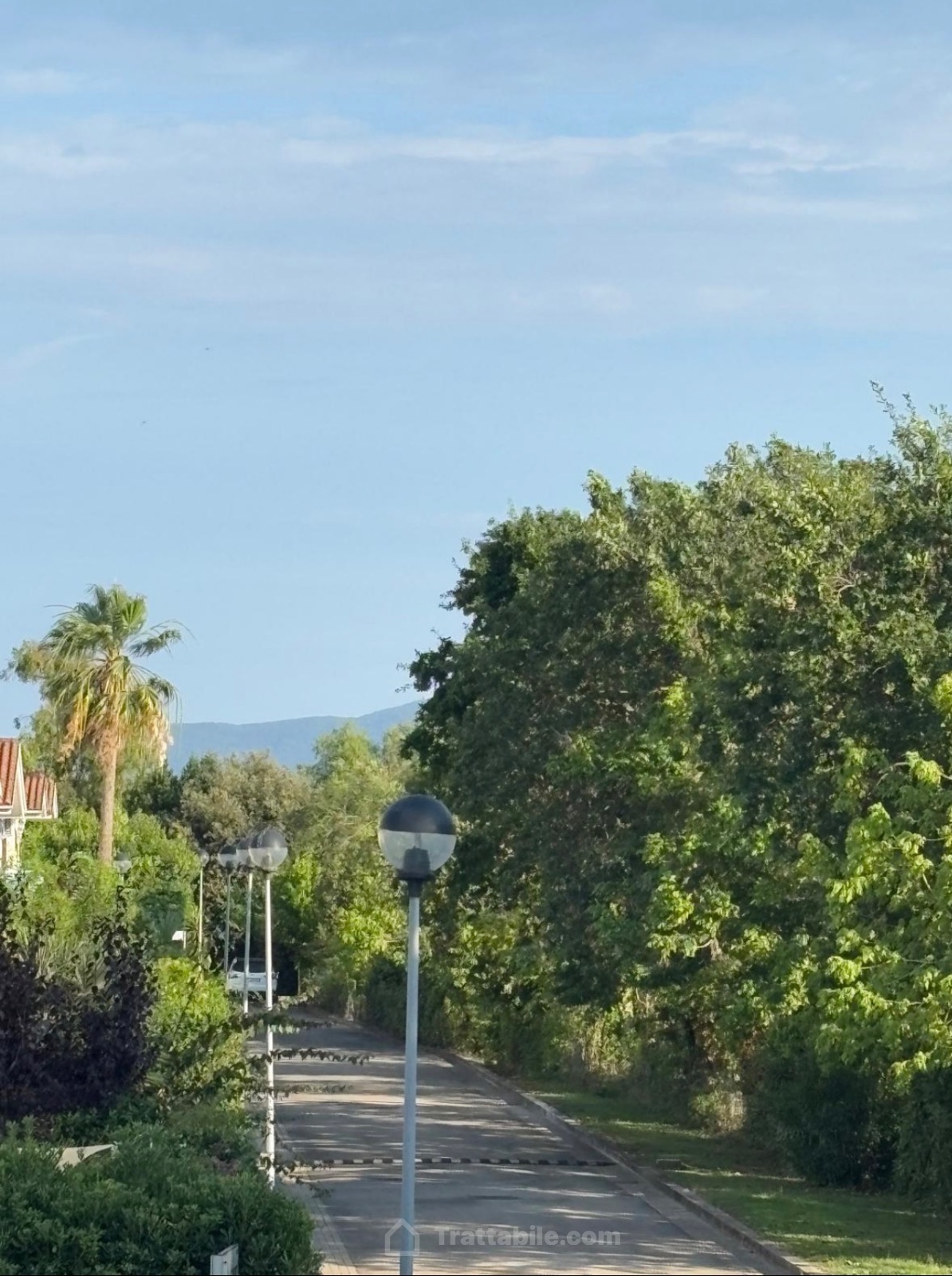 Anteprima 2
