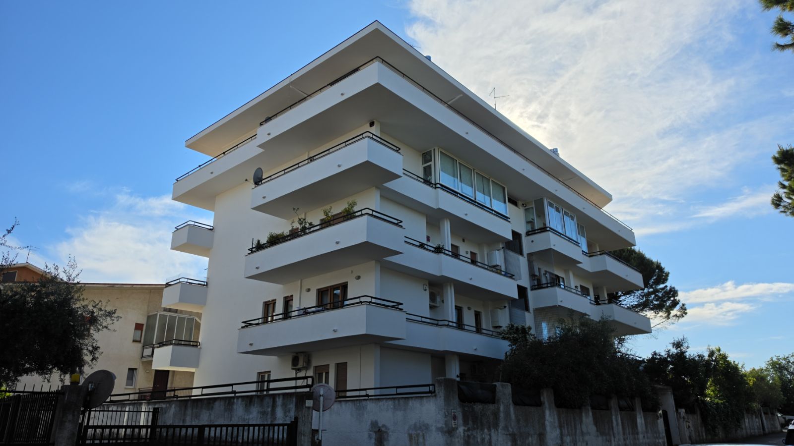 Anteprima 15