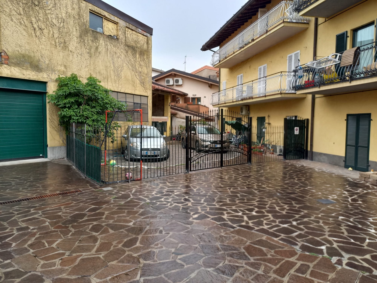 Anteprima 6