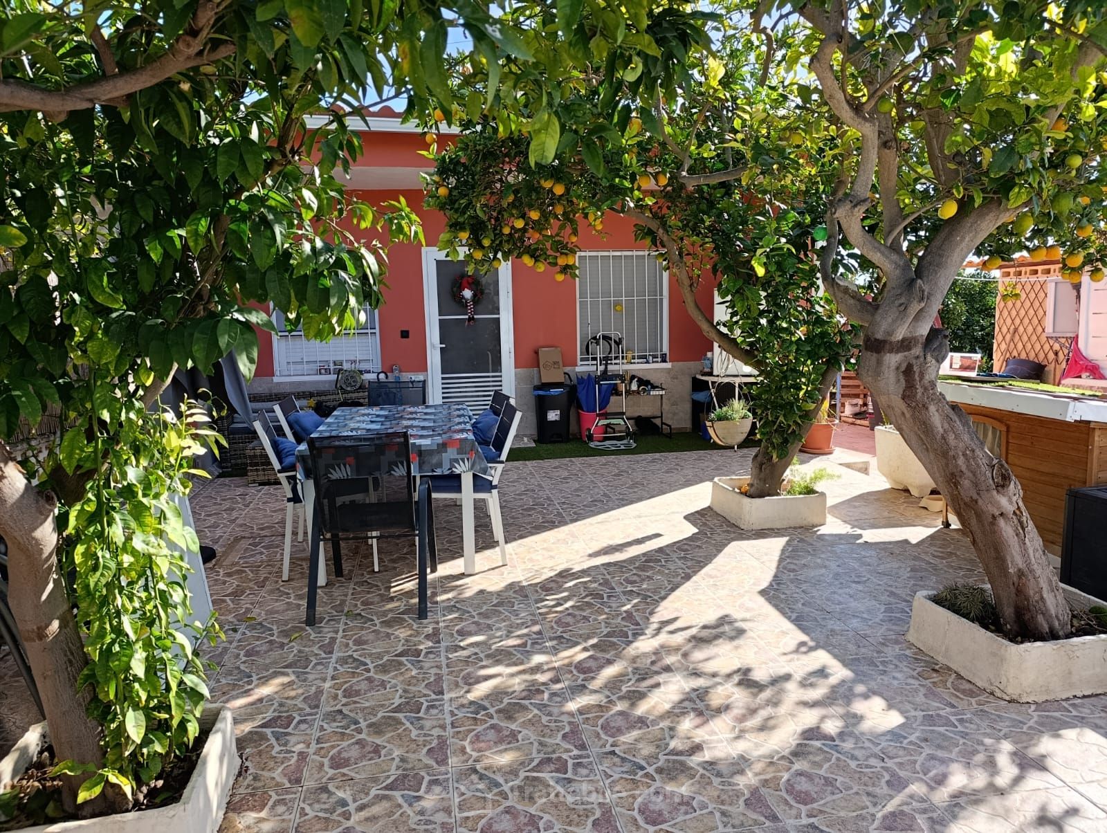 Anteprima 17