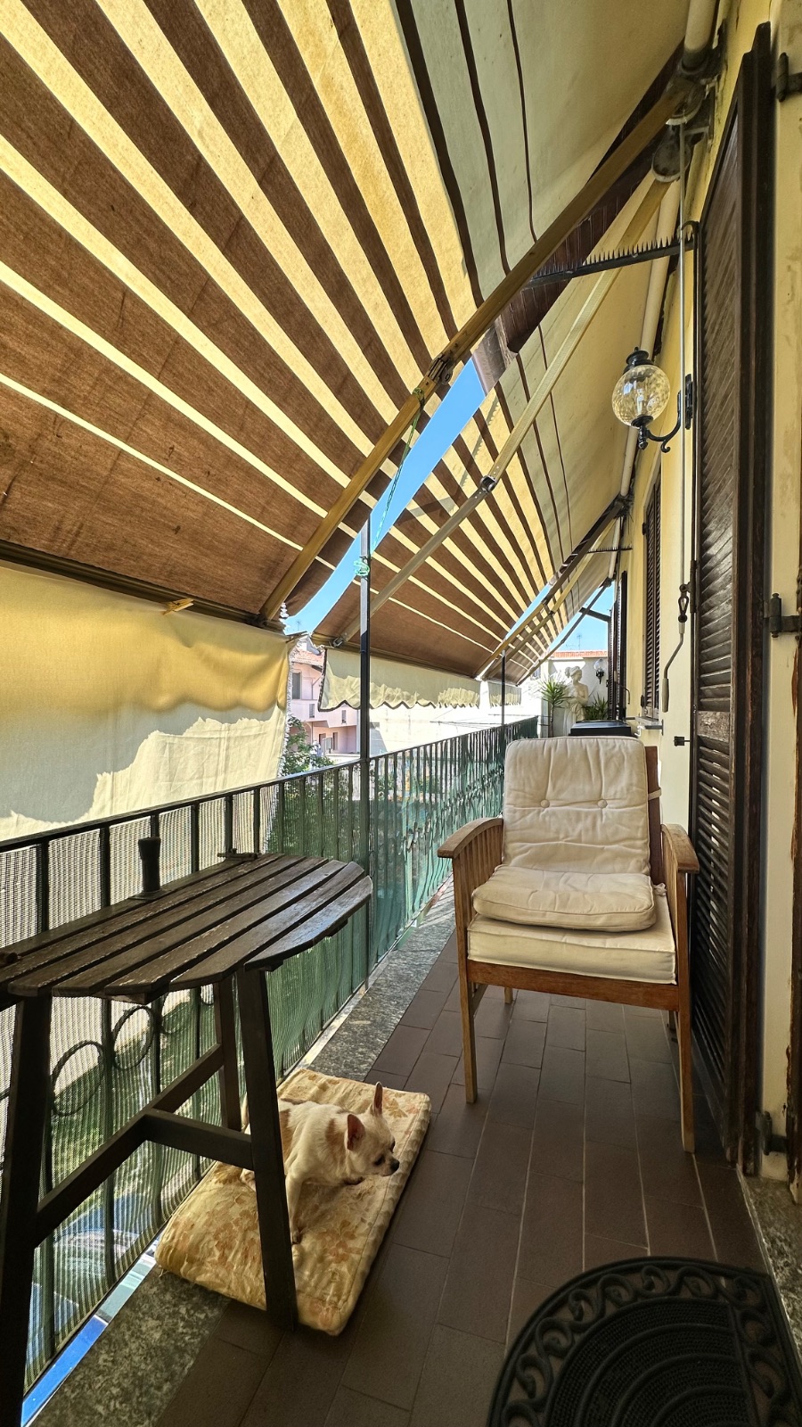 Anteprima 2