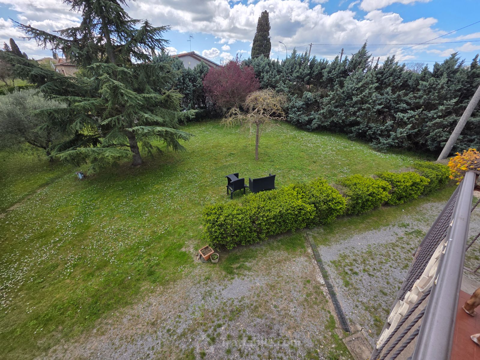 Anteprima 4