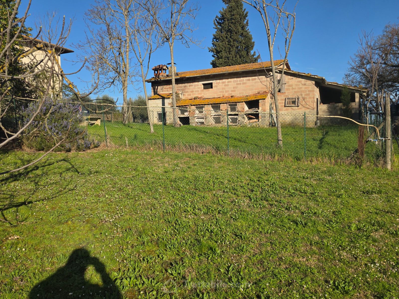 Anteprima 7