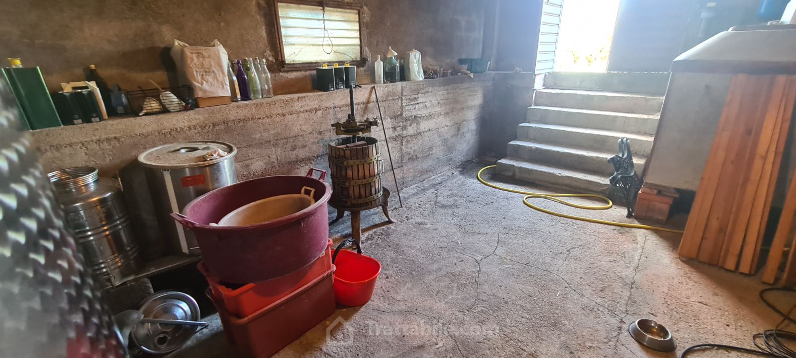 Anteprima 19
