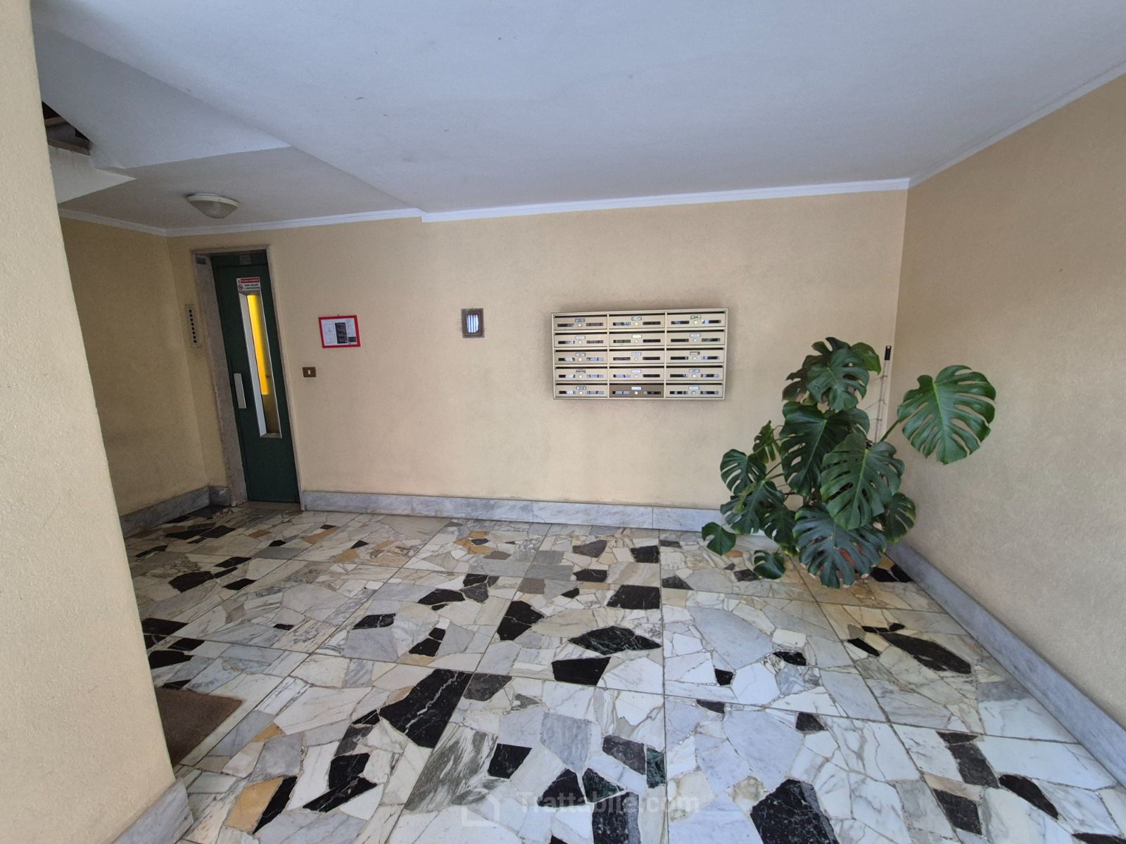 Anteprima 13