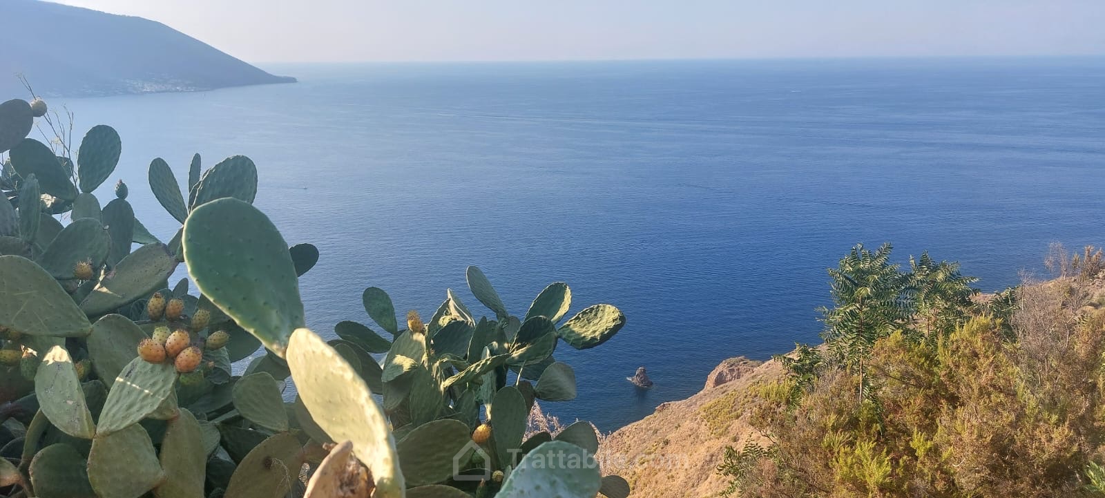 Anteprima 2