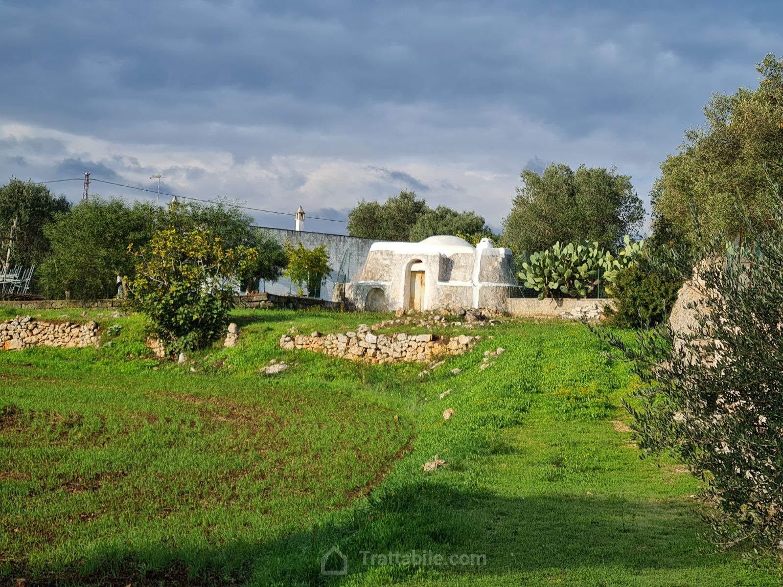 Anteprima 15