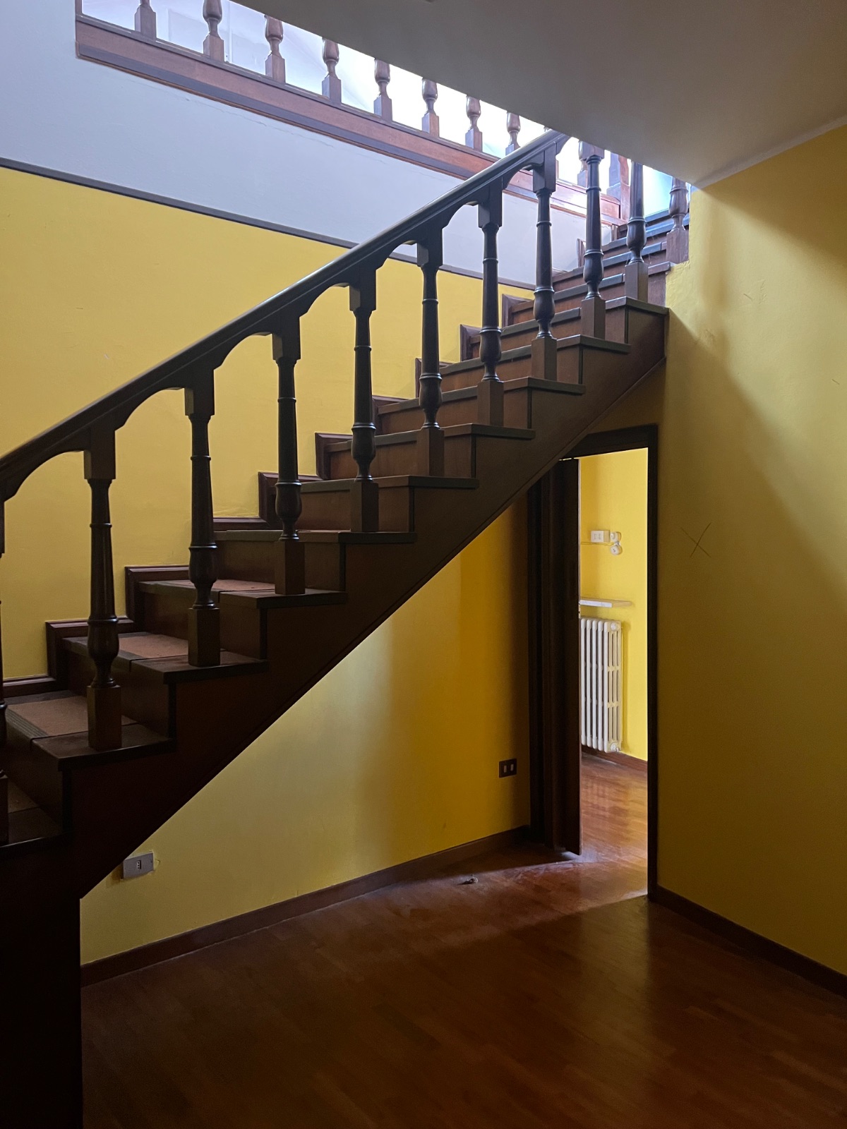 Anteprima 15