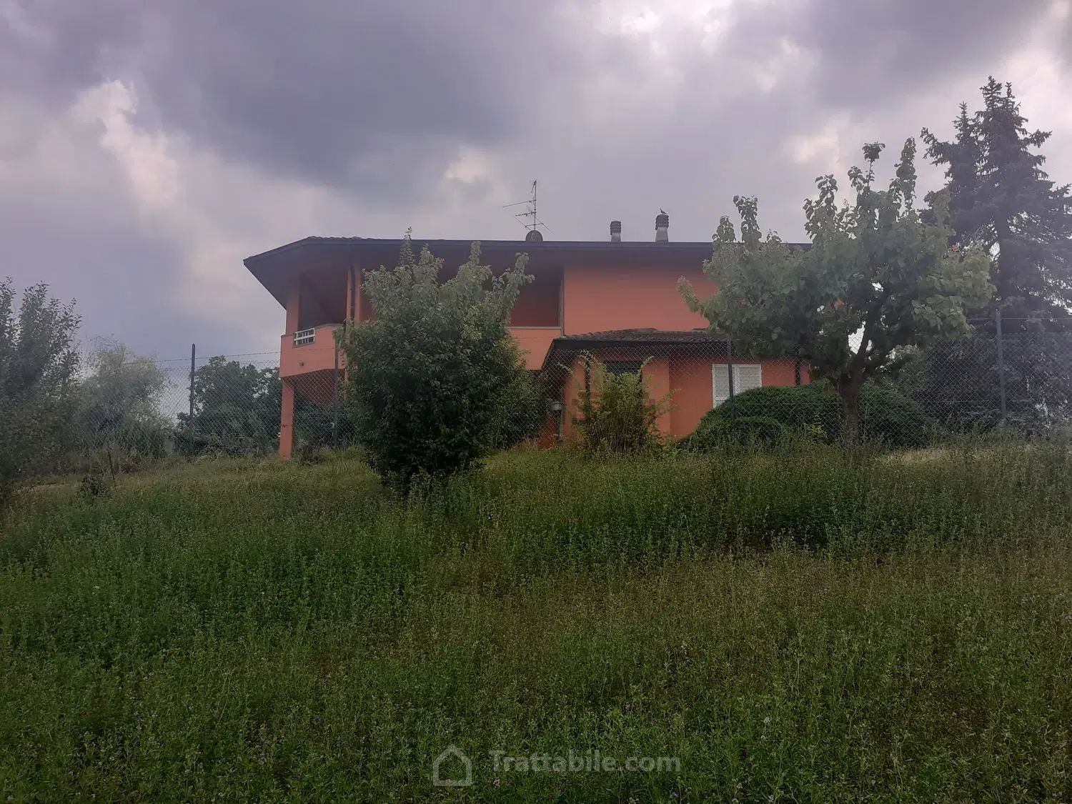 Anteprima 11