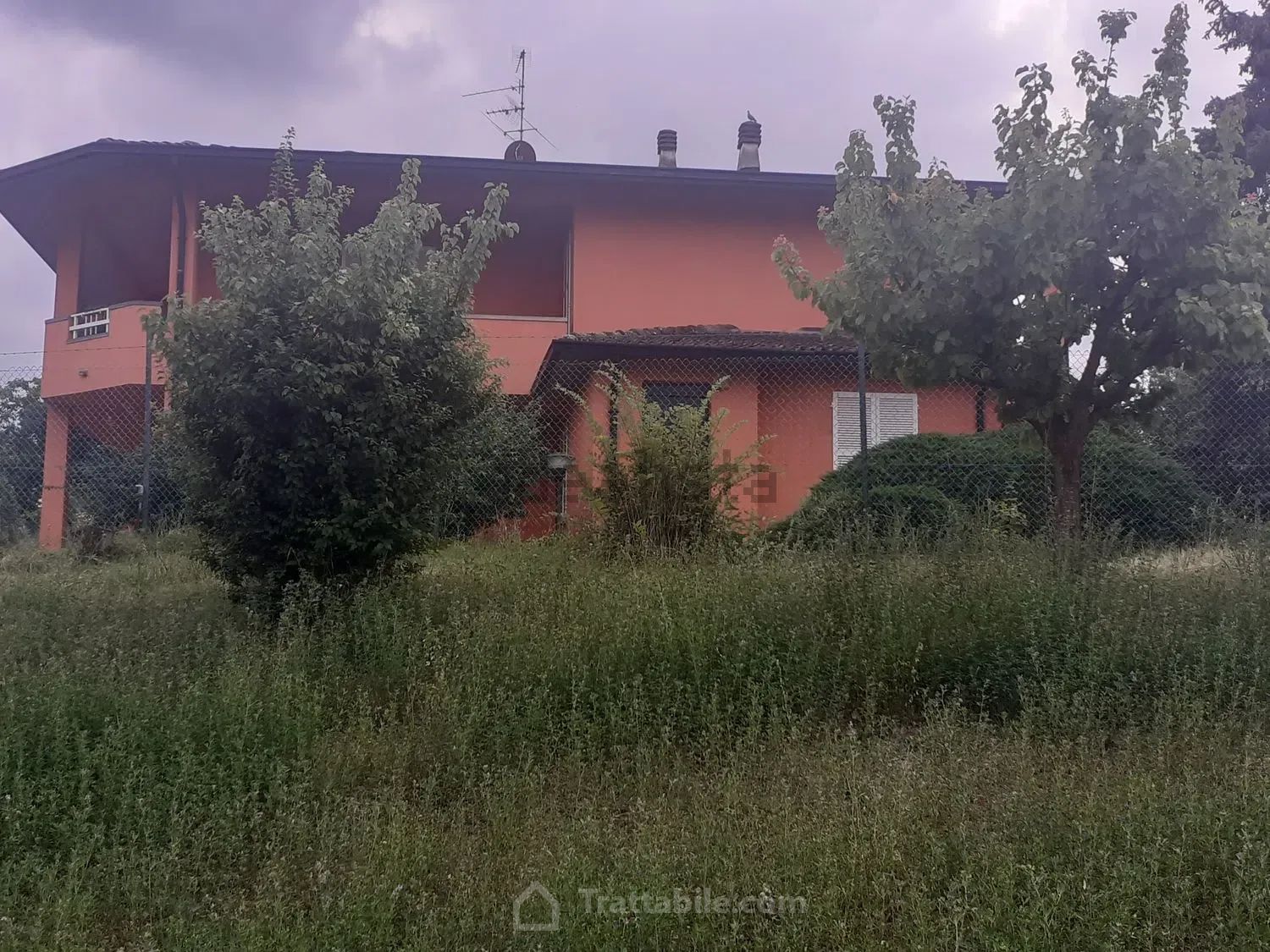 Anteprima 12