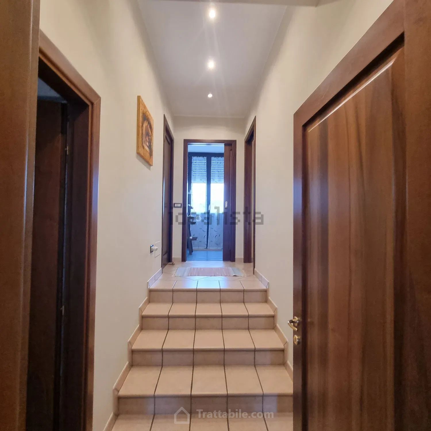 Anteprima 3