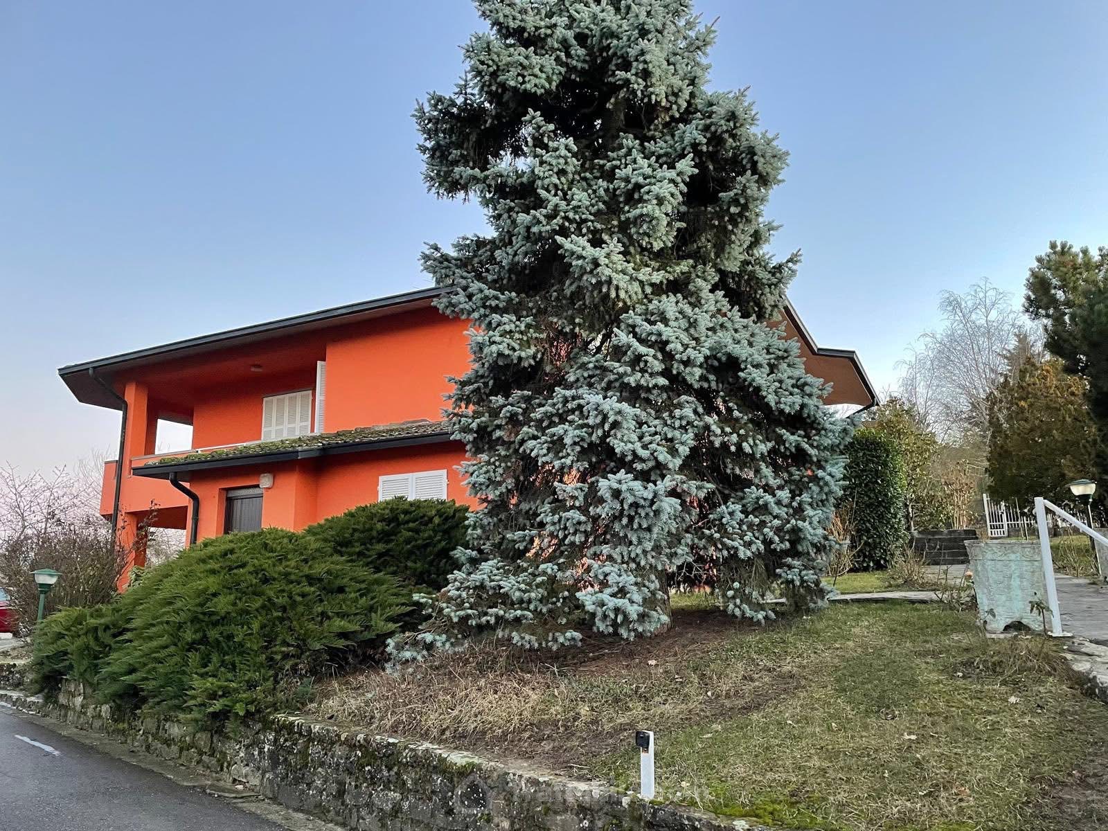 Anteprima 2