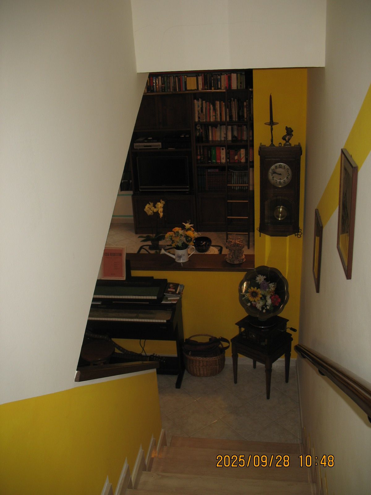 Anteprima 2