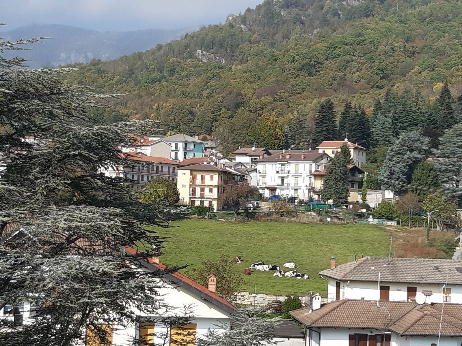 Anteprima 14
