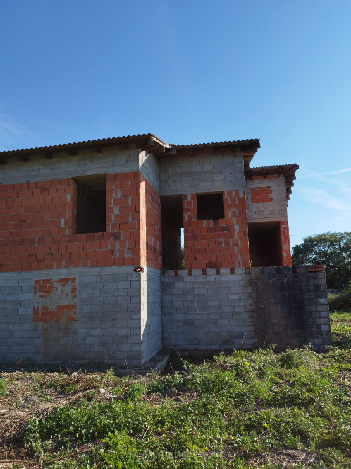 Anteprima 8