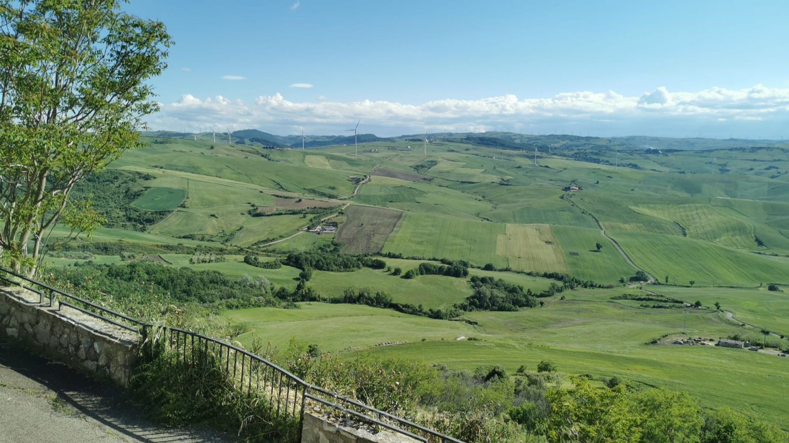 Anteprima 20