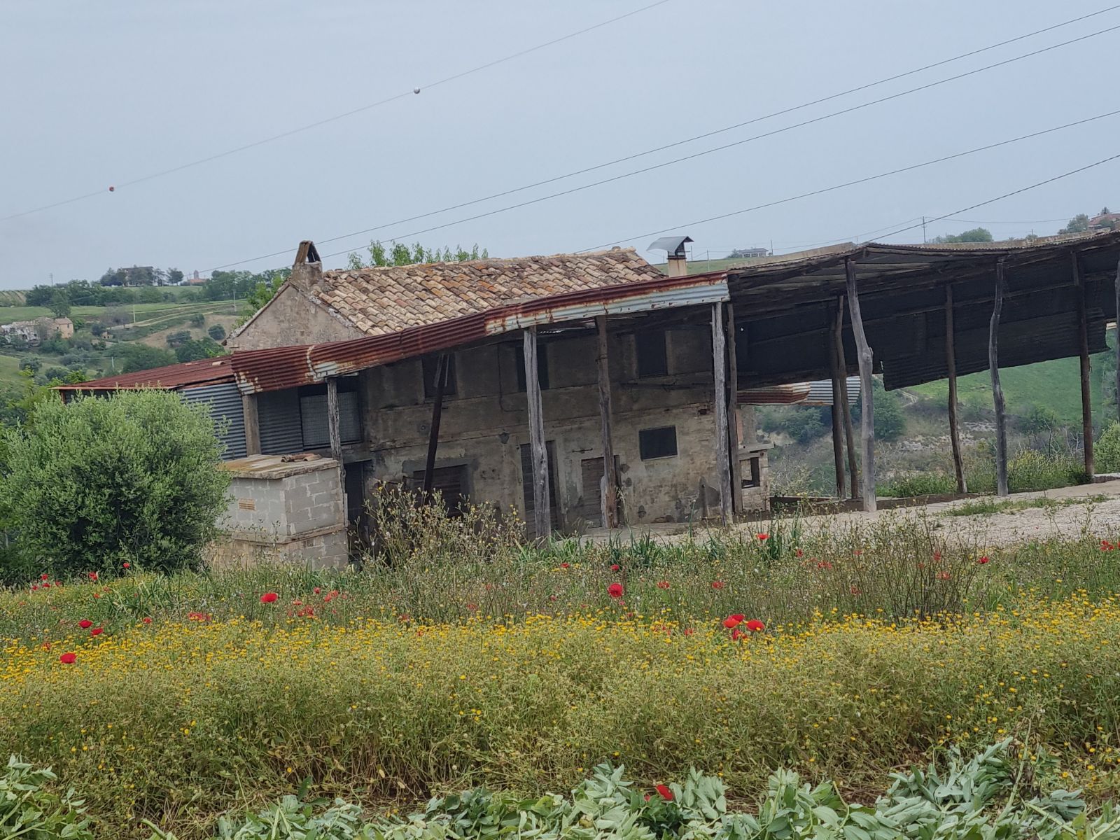 Anteprima 7
