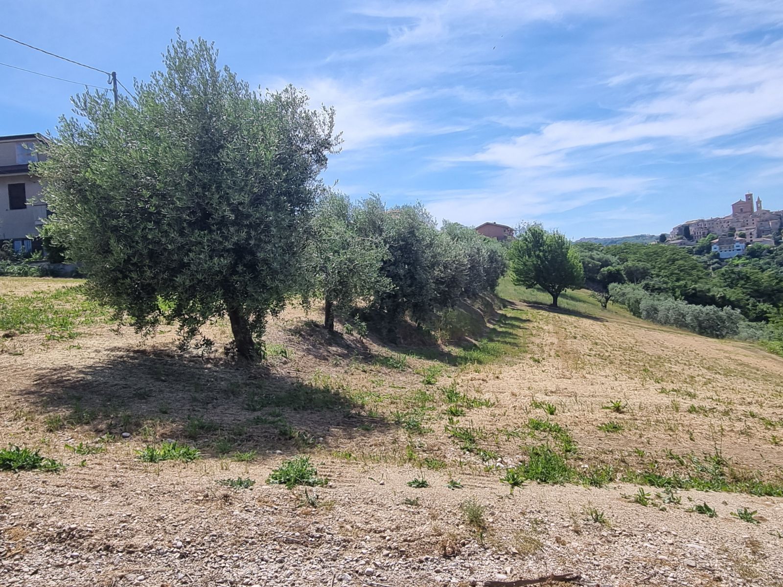 Anteprima 9