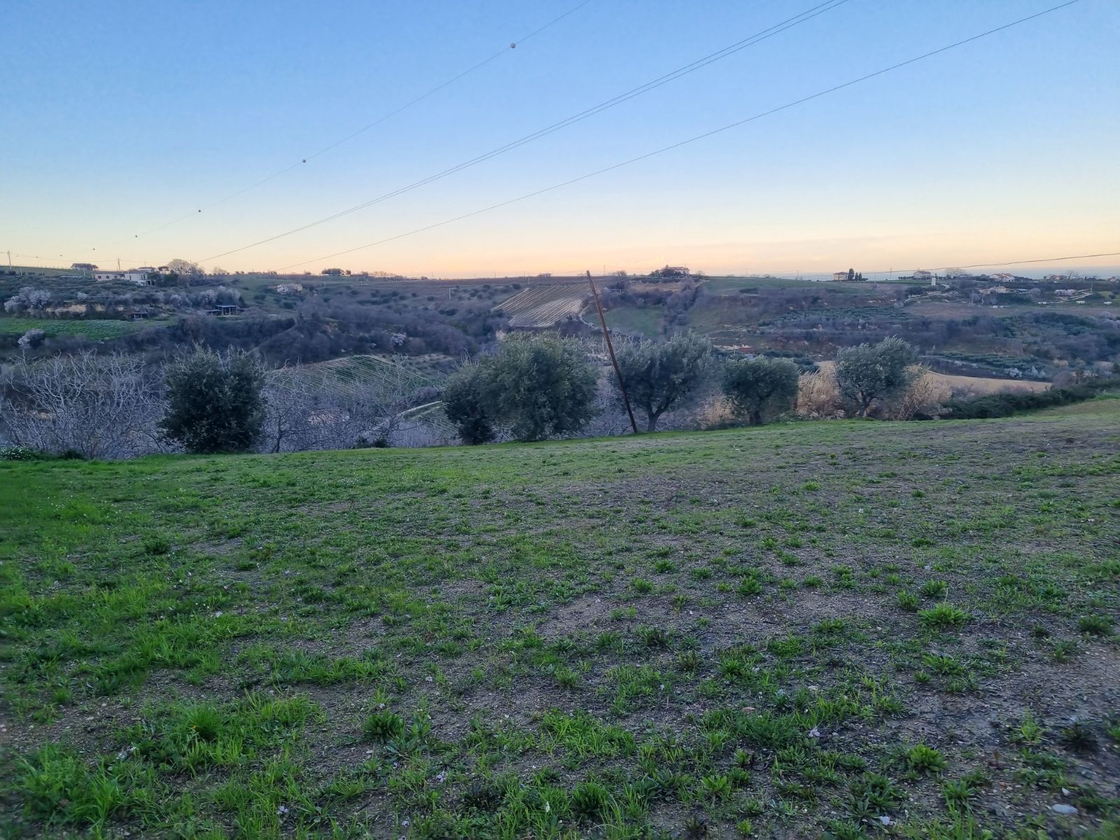 Anteprima 11