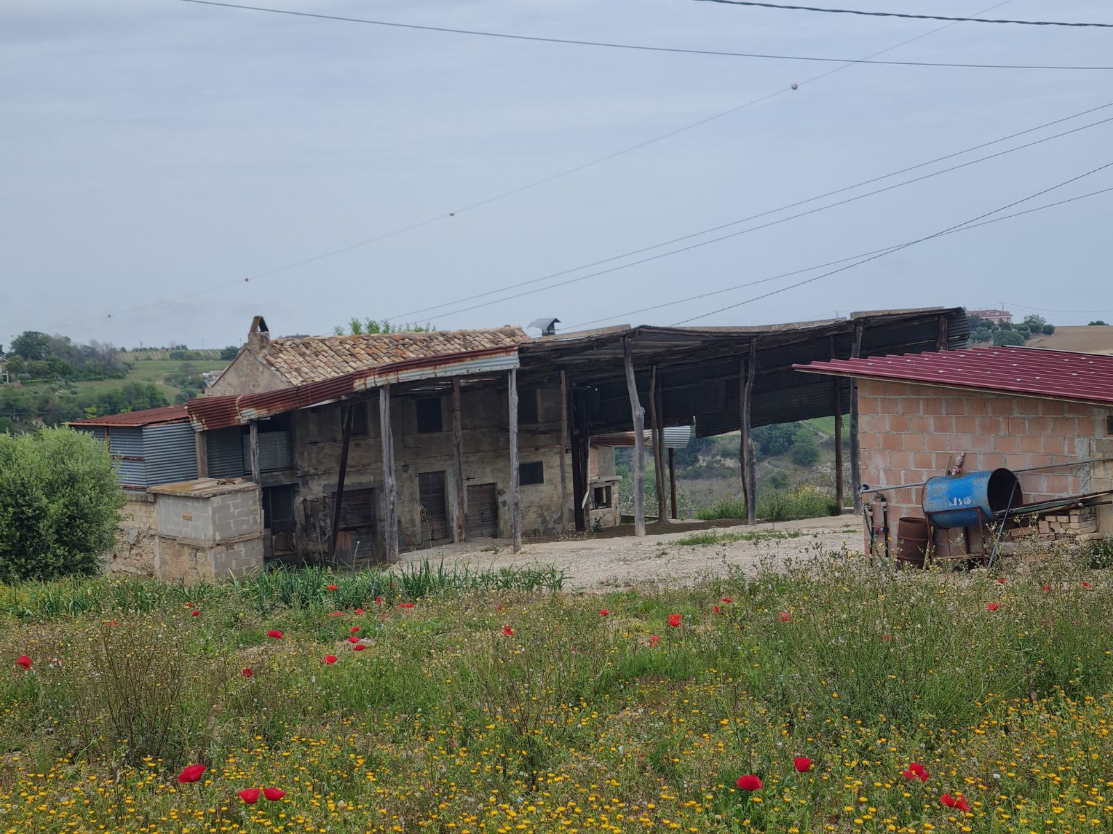Anteprima 12