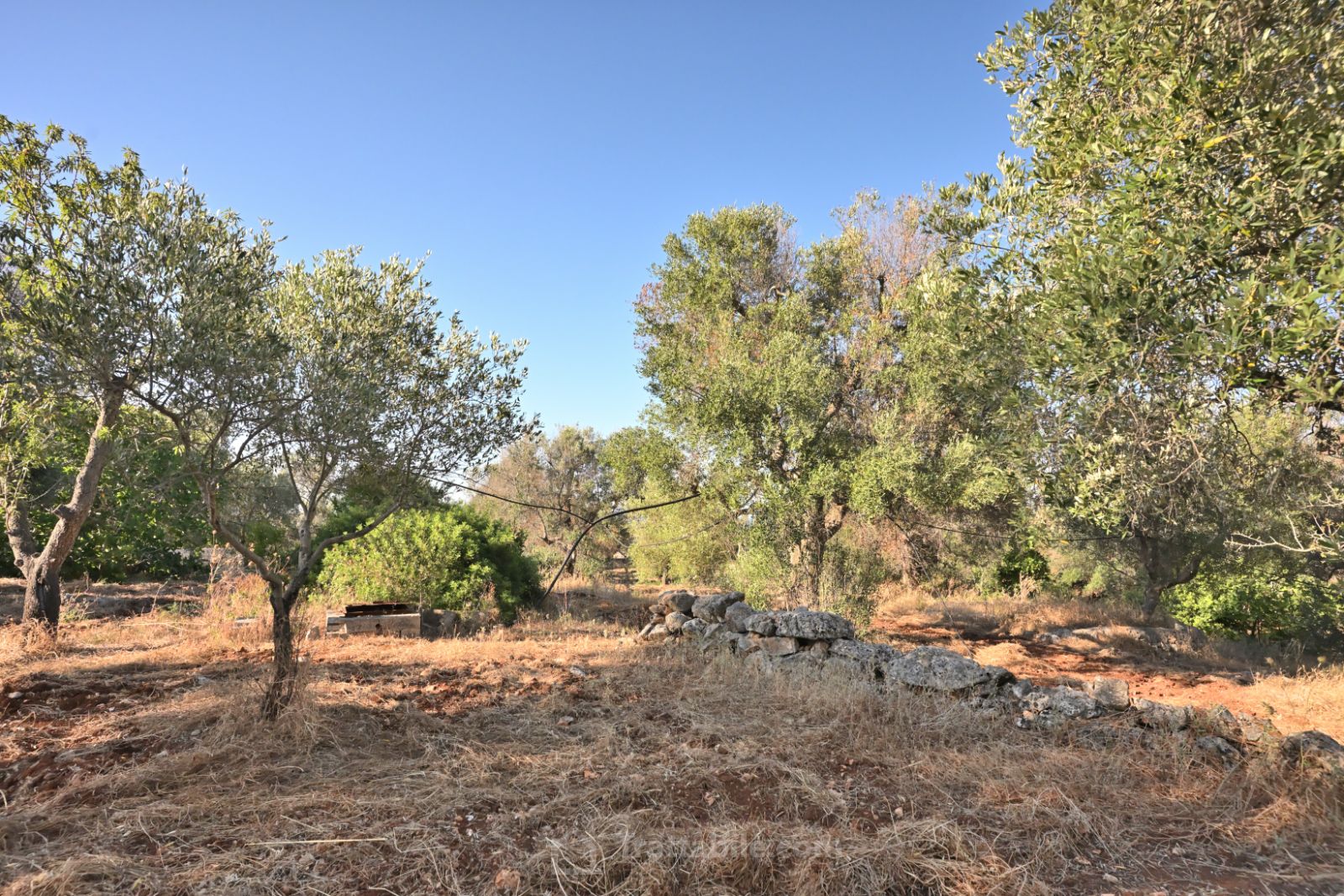 Anteprima 13