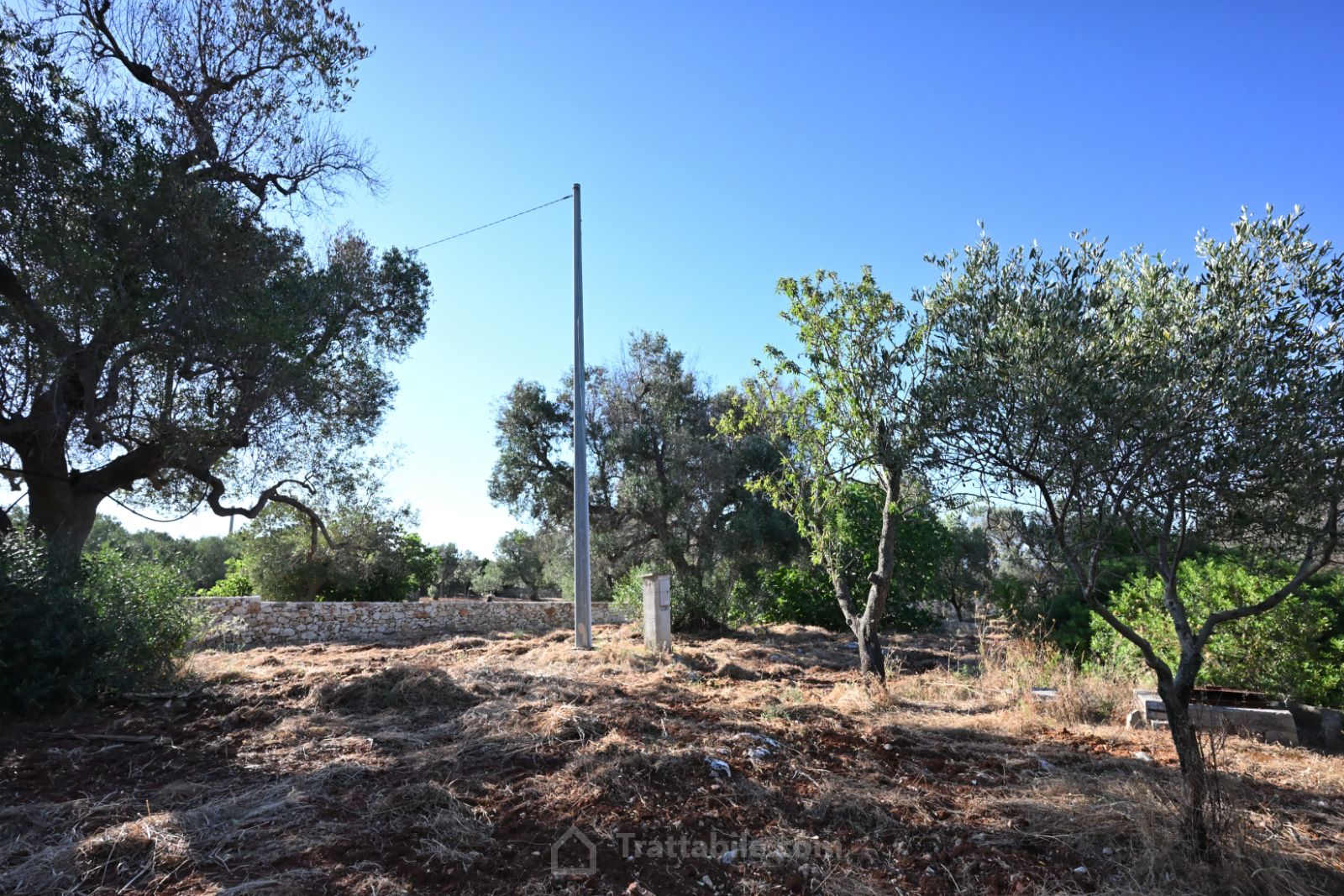 Anteprima 14