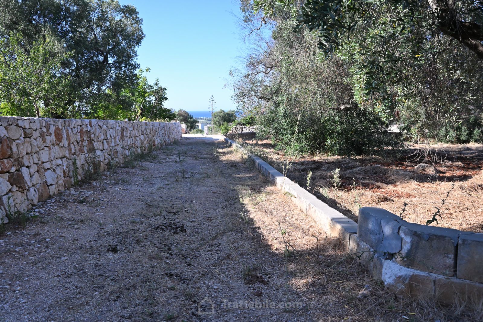 Anteprima 19