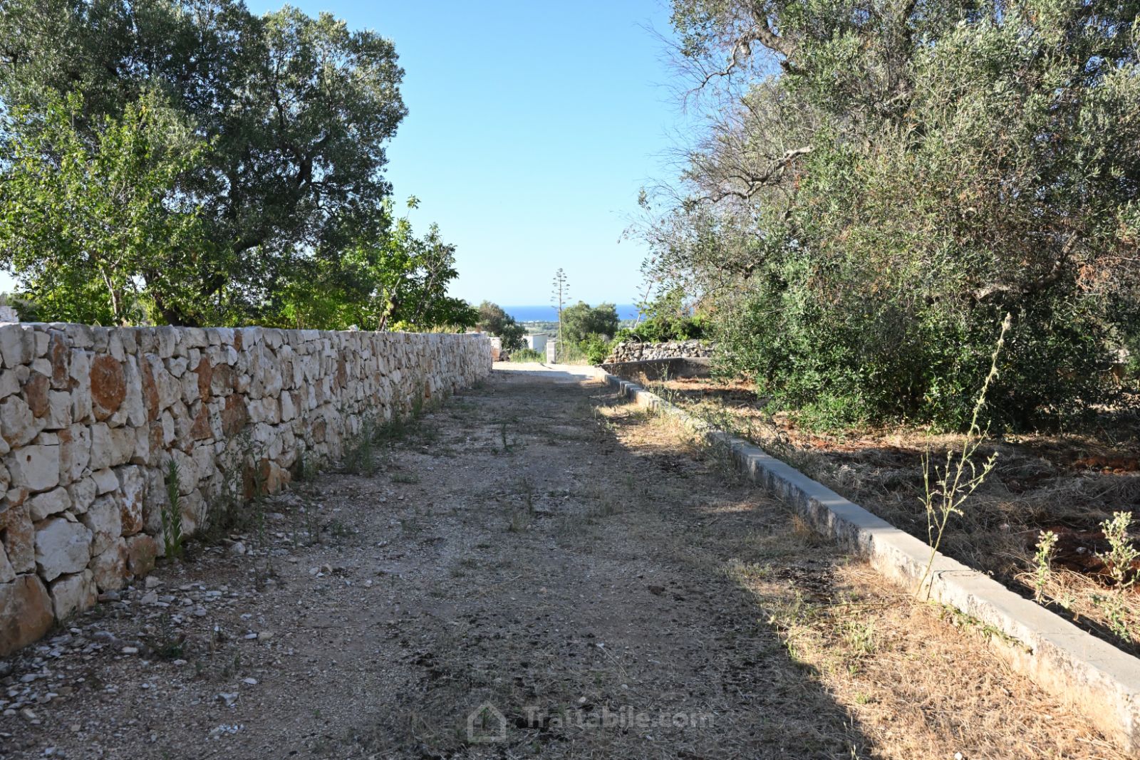 Anteprima 20